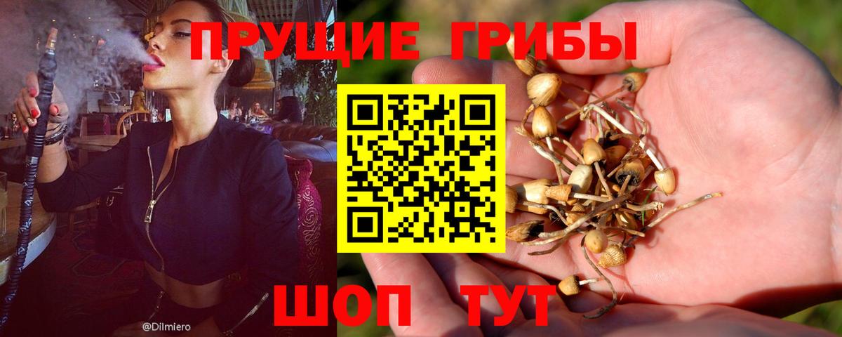 Псилоцибиновые грибы мицелий  Вход с VPN  Апатиты  Галлюциногенные грибы MAGIC MUSHROOMS 